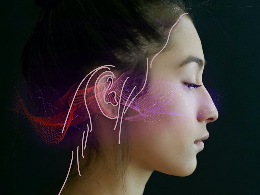 The Deaf, and the Artificial Intelligence. - Horizon Project INC