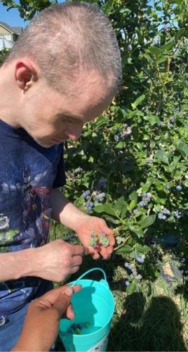 July/2022 -Picking fruits -   IMG952427