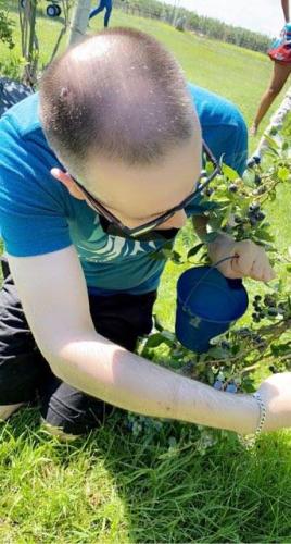 July/2022 -Picking fruits - IMG952432